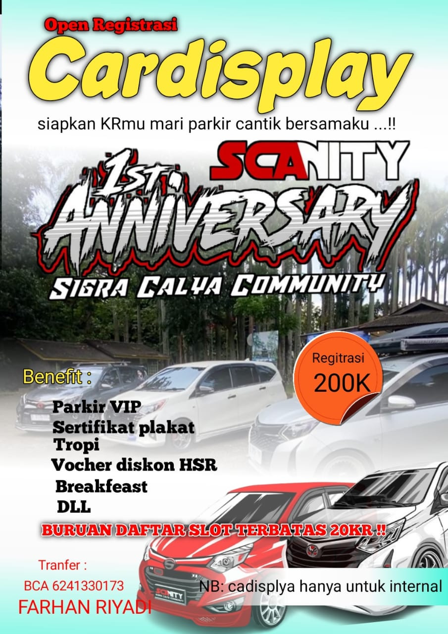 Car Display SCANITY